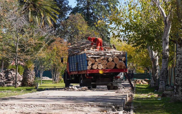 Las obras se realizan a la par de las excavaciones Las obras se realizan a la par de las excavaciones