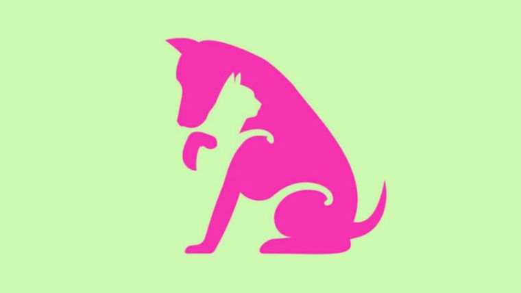 Test de personalidad