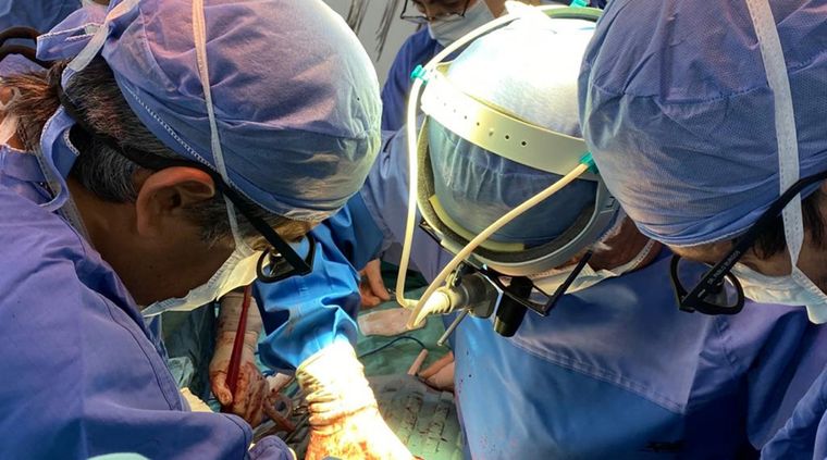 Más de 20 mil argentinos están dispuestos a donar órganos. Foto: Gentileza