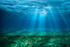 por que los oceanos se estan oscureciendo (y las consecuencias que esto puede tener para animales y humanos) por que los oceanos se estan oscureciendo (y las consecuencias que esto puede tener para animales y humanos)