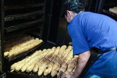 La semana se aprobó nuevamente el trigo transgénico en la provincia de Buenos Aires Foto: TELAM