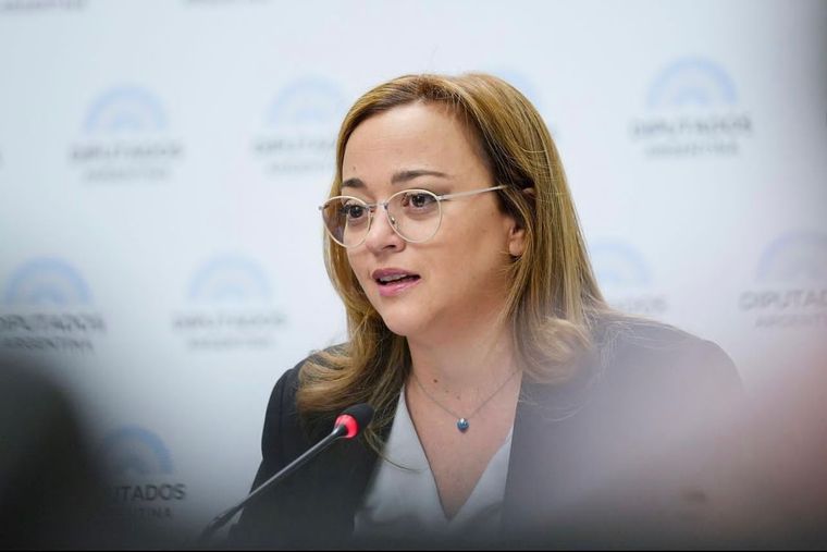 Cecilia Moreau apeló a la ironía para apuntar a los dichos de Mauricio Macri contra Sergio Massa Foto: Prensa Cámara de Diputados