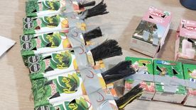 Crueldad sin fronteras: intentaron pasar 50 aves a Chile en cajas de jugo y 17 murieron