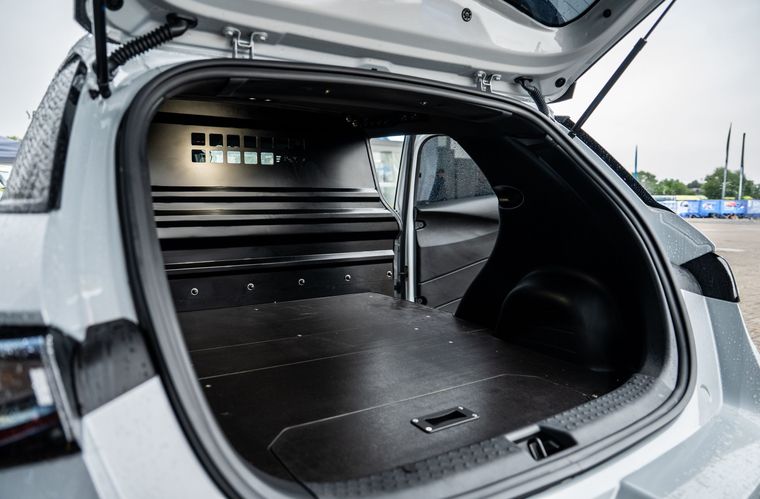 BYD DOLPHIN CARGO