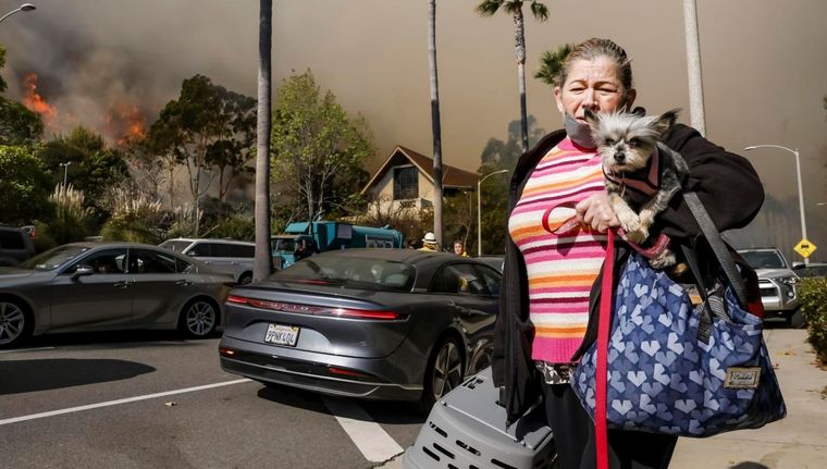 Evacuados en Los ángeles Foto: EFE/EPA/CAROLINE BREHMAN
