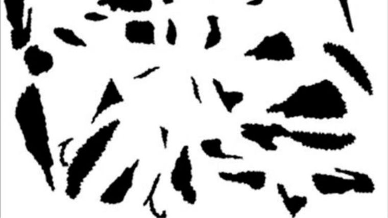 Acertijo visual, reto visual, bailarín Pinterest Foto: Archivo MDZ