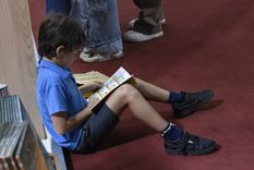 Otras leyes en debate: ahora los libros.