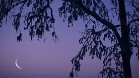 El 24 de abril la Luna entró en fase creciente.