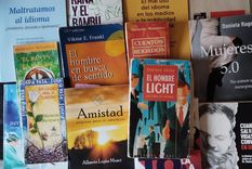 Los bibliotecarios escolares trabajan mancomunadamente con los docentes de cada nivel para acercar a los alumnos a la lectura de libros. Foto: Marisa Musci