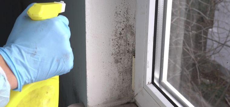Pulveriza esta mezcla sobre la mancha de humedad de la pared Foto: Shutterstock