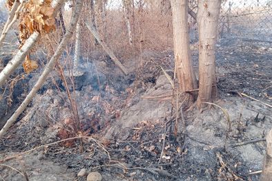 MDZol | El fuego sigue al lado de las casas, en calle Las Chimbas. / Foto: MDZ Foto: MDZ