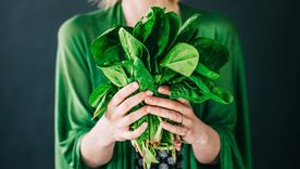 Las espinacas son pura fibra. Foto: Archivo Las espinacas son pura fibra. Foto: Archivo