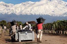 San Juan no se suma al Banco de Vinos: candente debate en esa provincia