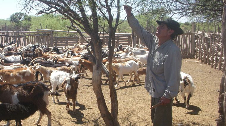 Foto: Ulises Naranjo.