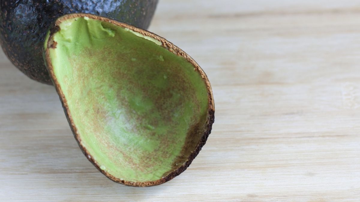 Por qué guardar la cáscara de palta y cómo usarla en el jardín