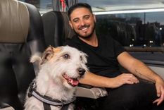 El servicio se aplicará en tramos de hasta 4 horas de duración y se pueden llevar mascotas de hasta 10 kilos de peso. Foto: Captura de video / Flechabus