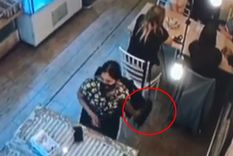 Al acecho Cuando ve el momento oportuno, la ladrona estira la mano y se lleva el botín. Al acecho Cuando ve el momento oportuno, la ladrona estira la mano y se lleva el botín.