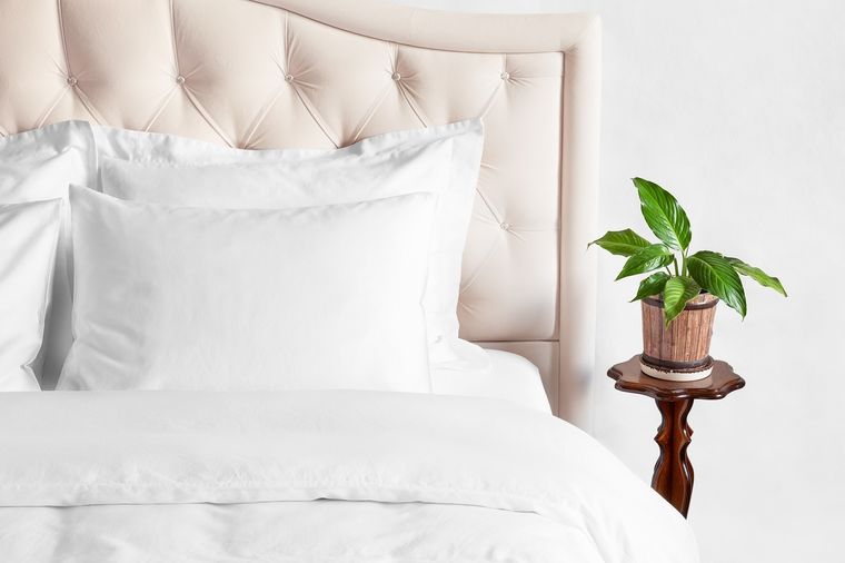 Este es un truco que está compuesto por productos que aparecen en la alacena de la cocina Foto: Shutterstock