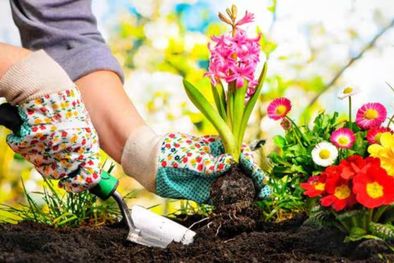MDZol | Cómo tener un bello jardín en la temporada otoño-invierno (Shutterstock).