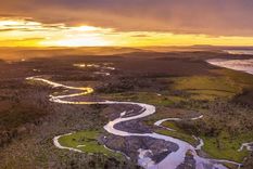 Bosques de lenga y ñire en Tolhuin, Tierra del Fuego. La reforma sobre tierras esconde un proceso de extranjerización y pone en peligro la soberanía.&nbsp;