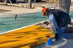 Calle Progreso se revitaliza con la remodelación de tres espacios verdes &nbsp;