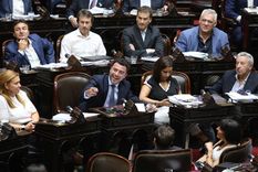 Rodrigo De Loredo, jefe del bloque UCR en el recinto de Diputados. Foto: NA