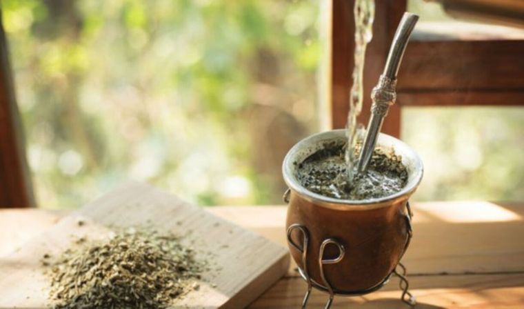 MATE Esta infusión es típica en algunos países de América del Sur. Foto: Archivo MDZ