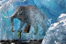 consiguen el adn mas antiguo conocido de dientes de mamuts siberianos