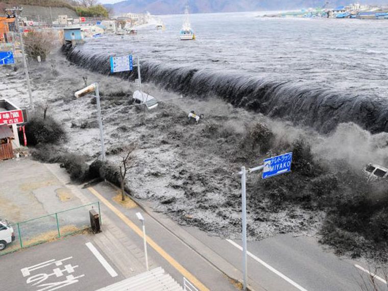 El tsunami japonés.