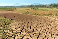 El calentamiento progresivo afecta directamente a los cultivos. Foto: Dpa.