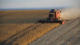 La suba de costos de insumos y bienes para el sector agropecuario está complicando la rentabilidad del sector. El poder de compra de la producción de soja muestra una caída importante Foto: Charles Echer /Pixabay