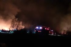 video: preocupacion por un incendio intencional cerca del rio mendoza