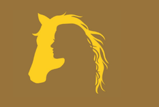 Test de personalidad Test de personalidad