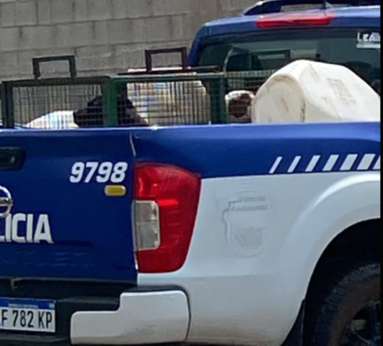 El ataque ocurrió mientras jugaba con su hermano en la calle, después de que el vecino soltará a los perros.
