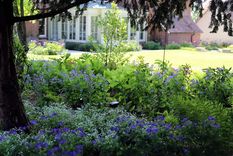 Crédito de la imagen: Diseño de jardín de Rosemary Coldstream. Foto: homesandgardens.com/