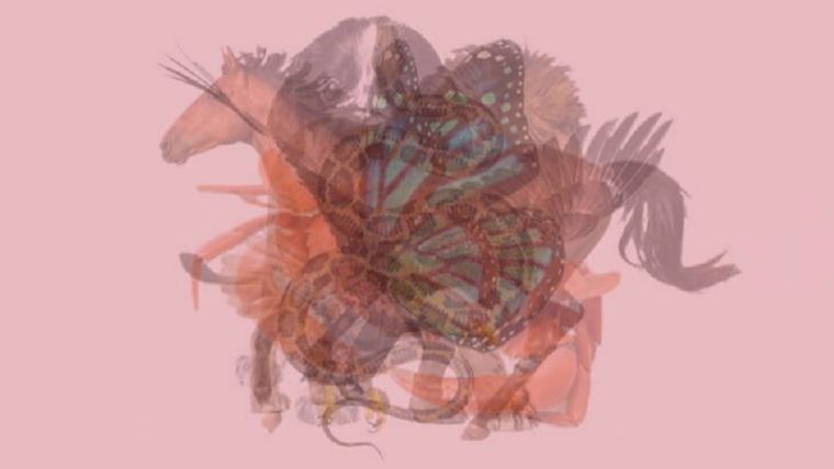 Test de personalidad