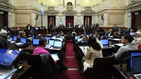 La oposición en el Senado busca voltear la reforma del DNU La oposición en el Senado busca voltear la reforma del DNU
