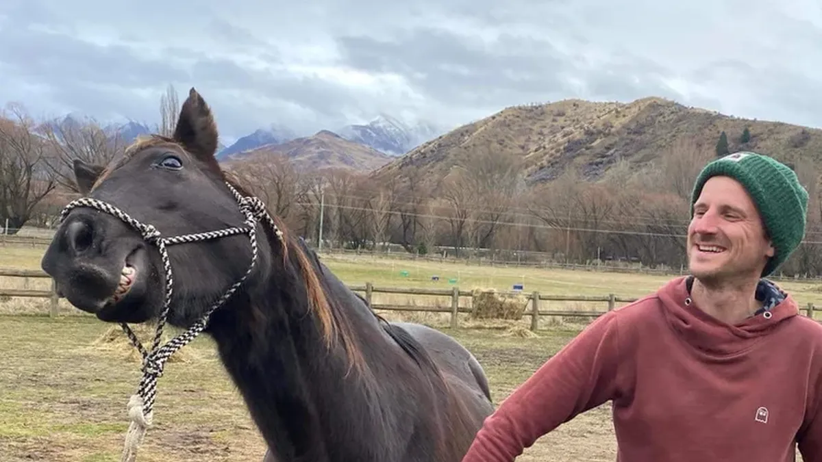 Ofrecen alojamiento gratis en Nueva Zelanda a cambio de cuidar animales: cómo es el voluntariado