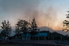 Los incendios mucha veces son provocados por el viento zonda Foto: Santiago Tagua/MDZ
