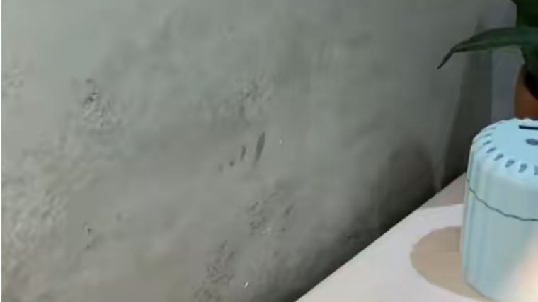 Tips caseros para que tu baño huela delicioso Simples pasos super sencillos Foto: Fuente: Imagen / @viviendoencasa