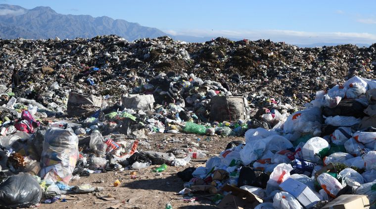 Foto: ALF PONCE MERCADO / MDZ Foto: ALF PONCE MERCADO / MDZ