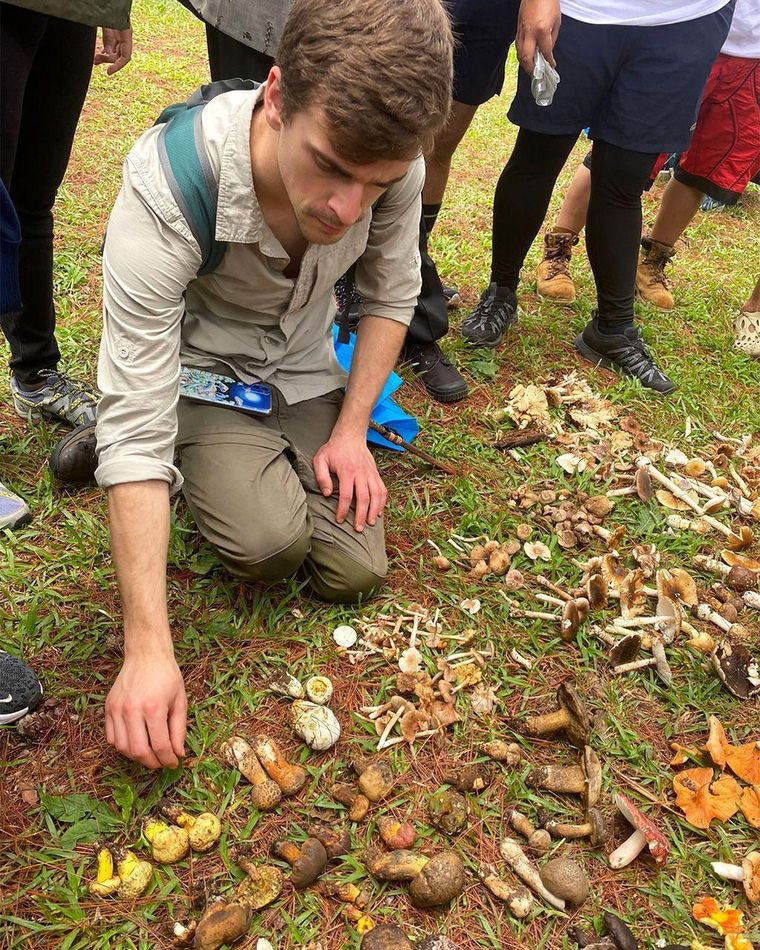 Colin Domnauer encontró en Filipinas setas que tenían un aspecto diferente pero que pertenecían a la misma especie que la L. asiatica de China.