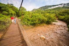 En Salta se encuentra este atractivo natural de imponentes paisajes Foto: Ruta Natural