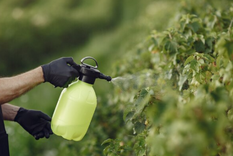 Con este fertilizante casero te ahorrarás mucho dinero en productos químicos Foto: Fuente: Freepik