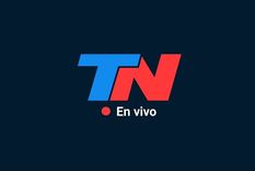 Foto: Redes sociales TN