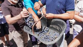 El gobernador minimizó la crisis para los productores vitivinícolas y los derivó a la Secretaría de Agricultura. El gobernador minimizó la crisis para los productores vitivinícolas y los derivó a la Secretaría de Agricultura.