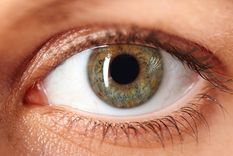 ¿estas perdiendo la vision? guia para enfrentar una de las principales causas