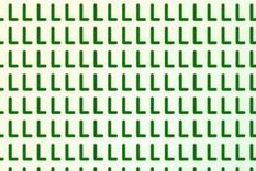 El acertijo visual del día pone a prueba tu nivel de observación Foto: Archivo MDZ