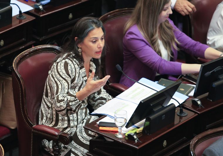 La senadora nacional por el Movimiento Popular Neuquino (MPN), Lucila Crexell