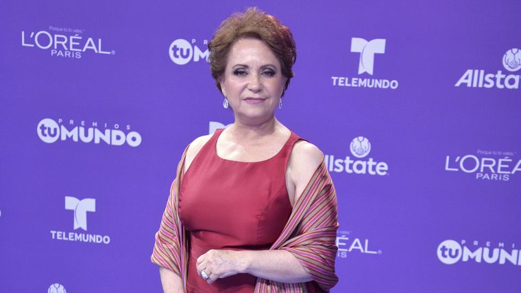 Foto: https://www.telemundo.com/entretenimiento/latinx-now-espanol/mes-de-la-herencia-hispana/adriana-barraza-detallo-su-carrera-como-actriz-y-lo-que-tuvo-que-pasar-para-llegar-tmna3913623